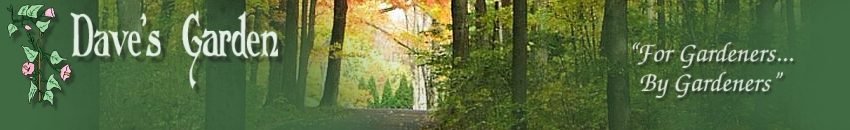 Dave's Garden - Gardening Community