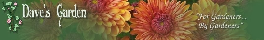 Dave's Garden - Gardening Community