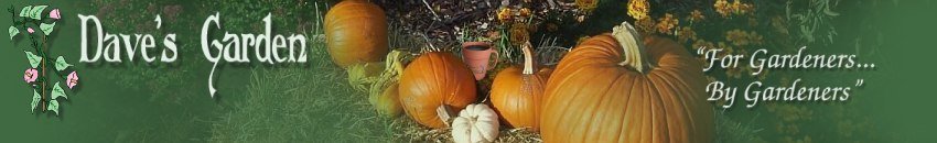 Dave's Garden - Gardening Community