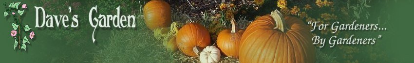 Dave's Garden - Gardening Community