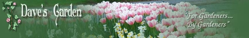 Dave's Garden - Gardening Community