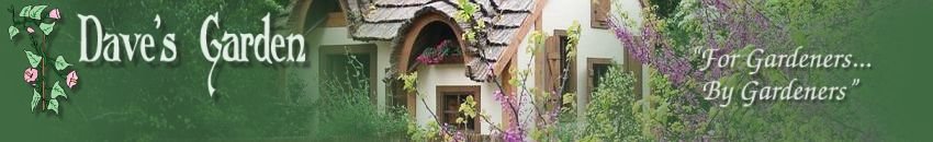 Dave's Garden - Gardening Community