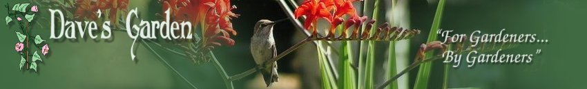 Dave's Garden - Gardening Community