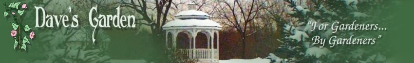 Dave's Garden - Gardening Community